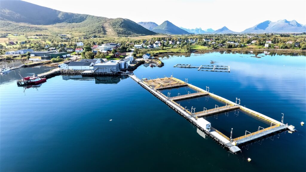 Alsvåg lakseslakteri utendørs, på sommeren